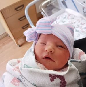 Meet your Posher, Carolyn